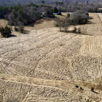10.20 acres of Recreational and Residential Land For Sale in Caswell County NC images 3