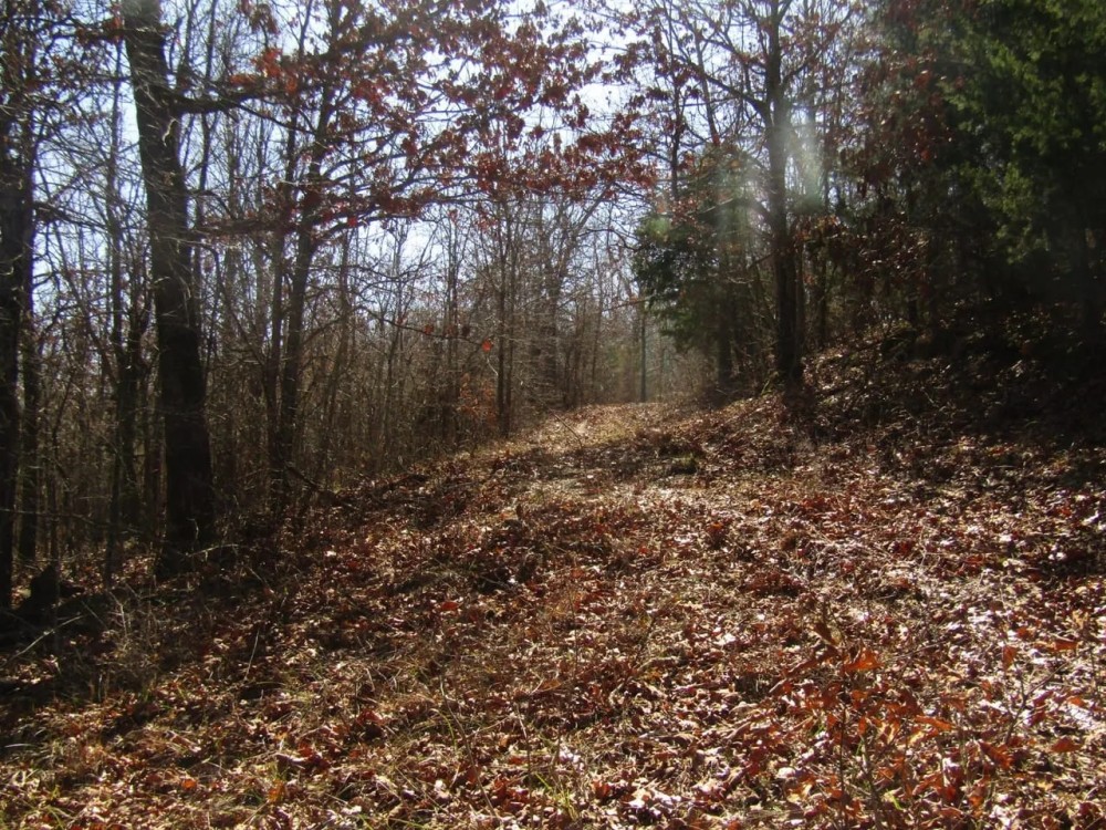 Secluded Building Rolling Hill Tracts Choctaw County OK 32 AC featured image