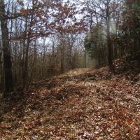 Secluded Building Rolling Hill Tracts Choctaw County OK 32 AC