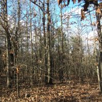 Secluded Building Rolling Hill Tracts Choctaw County OK 32 AC images 2