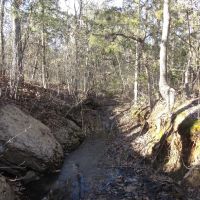 Secluded Building Rolling Hill Tracts Choctaw County OK 32 AC images 4