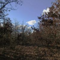 Secluded Building Rolling Hill Tracts Choctaw County OK 32 AC images 5