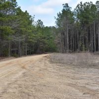 Lockner Road images 4