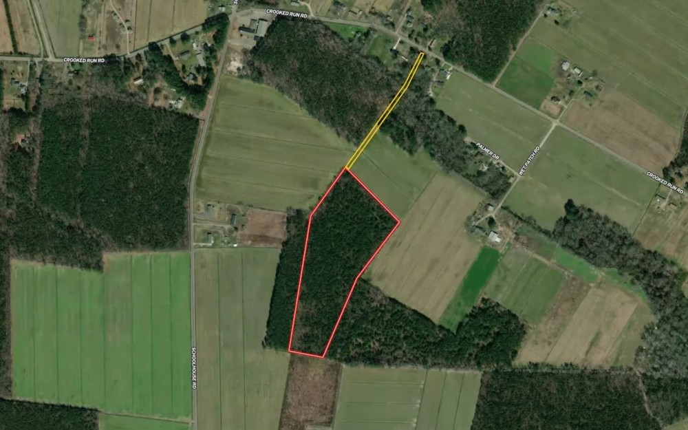 15.82 Acres of Timber Land in Pasquotank County NC featured image