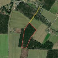 15.82 Acres of Timber Land in Pasquotank County NC