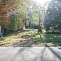 15.82 Acres of Timber Land in Pasquotank County NC images 3
