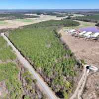 15.98 acres of Recreational Creek Front Land For Sale in Pitt County NC images 2