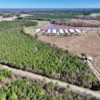 15.98 acres of Recreational Creek Front Land For Sale in Pitt County NC images 3