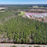 15.98 acres of Recreational Creek Front Land For Sale in Pitt County NC images 4