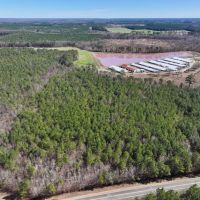 15.98 acres of Recreational Creek Front Land For Sale in Pitt County NC images 5
