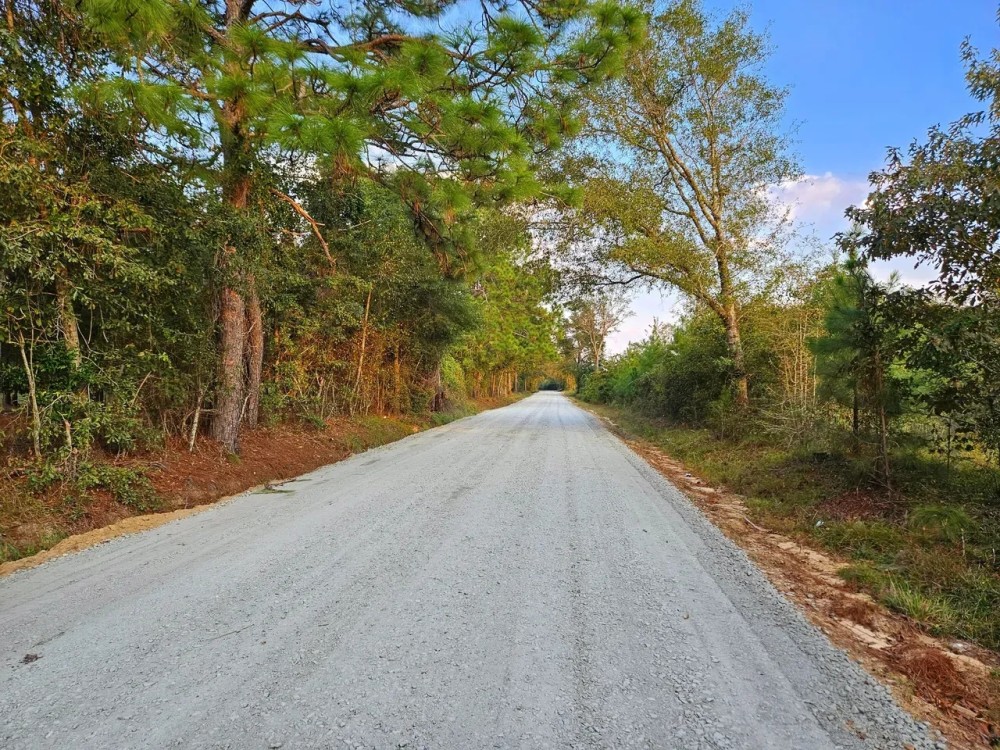 102 - Ac Land for Sale Dodge County GA featured image