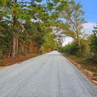 102 - Ac Land for Sale Dodge County GA