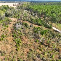 102 - Ac Land for Sale Dodge County GA images 2