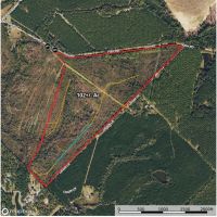 102 - Ac Land for Sale Dodge County GA images 4
