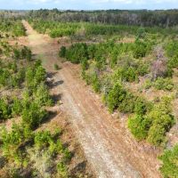 102 - Ac Land for Sale Dodge County GA images 5
