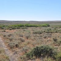 Pole Creek Ranch images 2