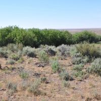 Pole Creek Ranch images 3