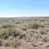 Pole Creek Ranch images 4