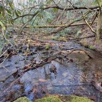 70.52 - acres unrestricted images 4