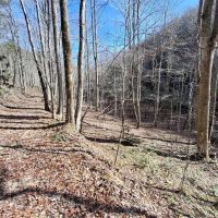 70.52 - acres unrestricted images 5
