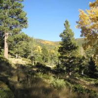 Forbes Park 2.5 acres images 2
