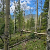 Forbes Park 2.5 acres images 5