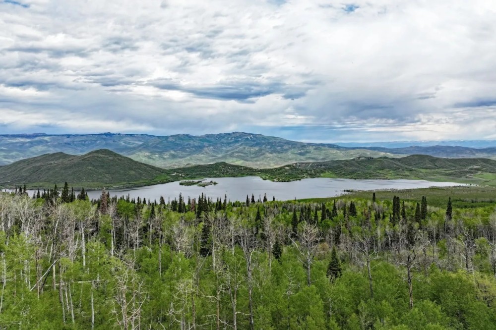 Mountain Property With Lake Views GMU 421 featured image