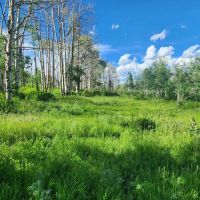 Hunting Acreage in GMU 62 with Cabin images 2