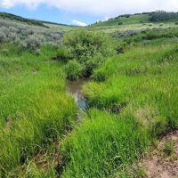 Hunting Acreage in GMU 62 with Cabin images 3