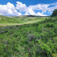 Hunting Acreage in GMU 62 with Cabin images 5