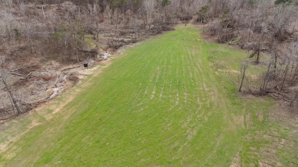 175 Acres in Marshall County MS featured image