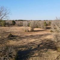 The Holley Ranch images 5