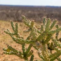 Griffin Creek Ranch images 2