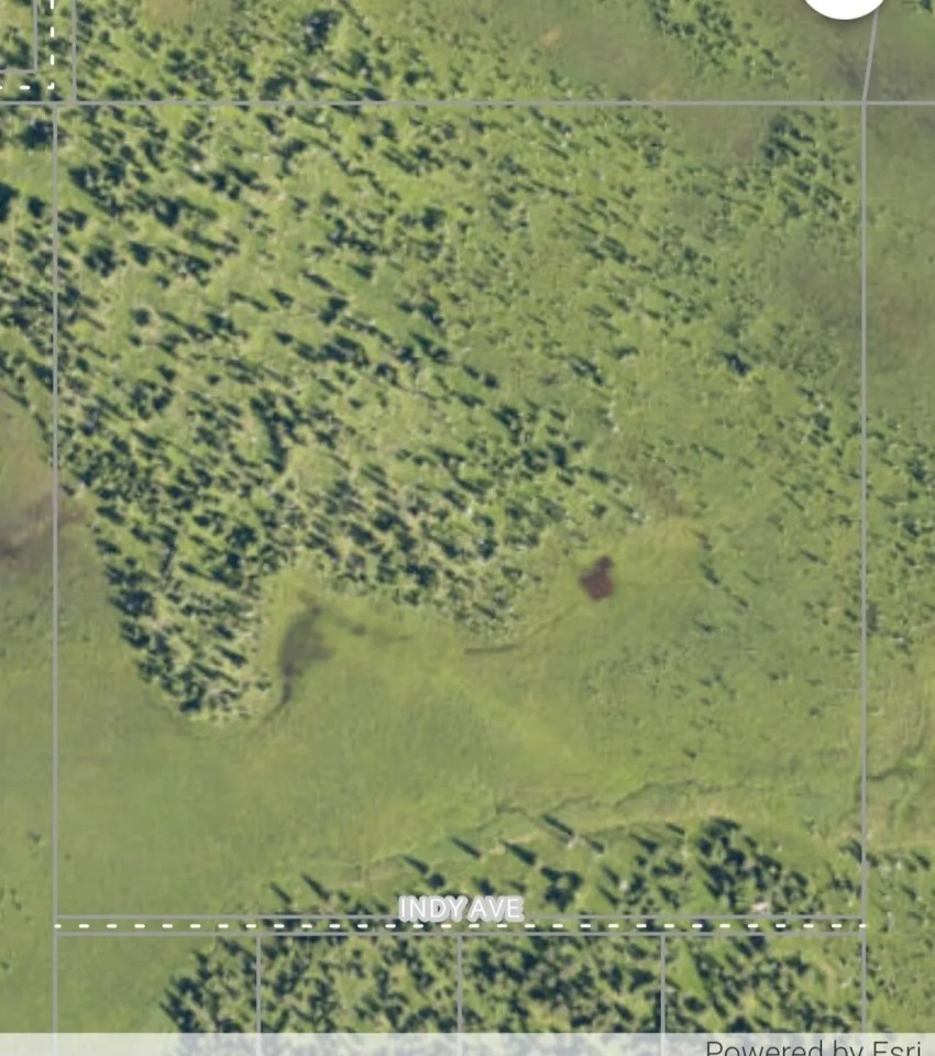 40 Acres featured image
