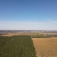 Recreational Land for Sale in Pinetown NC images 2
