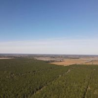 Recreational Land for Sale in Pinetown NC images 3