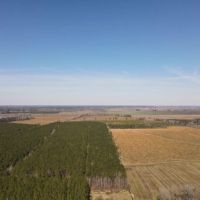 Recreational Land for Sale in Pinetown NC images 4