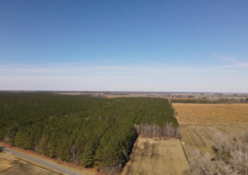 Recreational Land for Sale in Pinetown NC featured image