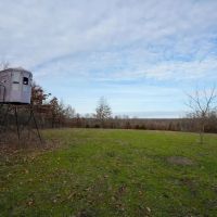 Secluded Hunting Tract With Excellent Habitat In SW MO images 2
