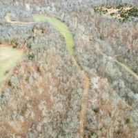 Secluded Hunting Tract With Excellent Habitat In SW MO images 3