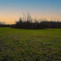 Secluded Hunting Tract With Excellent Habitat In SW MO images 4