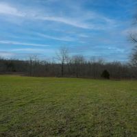 Secluded Hunting Tract With Excellent Habitat In SW MO images 5