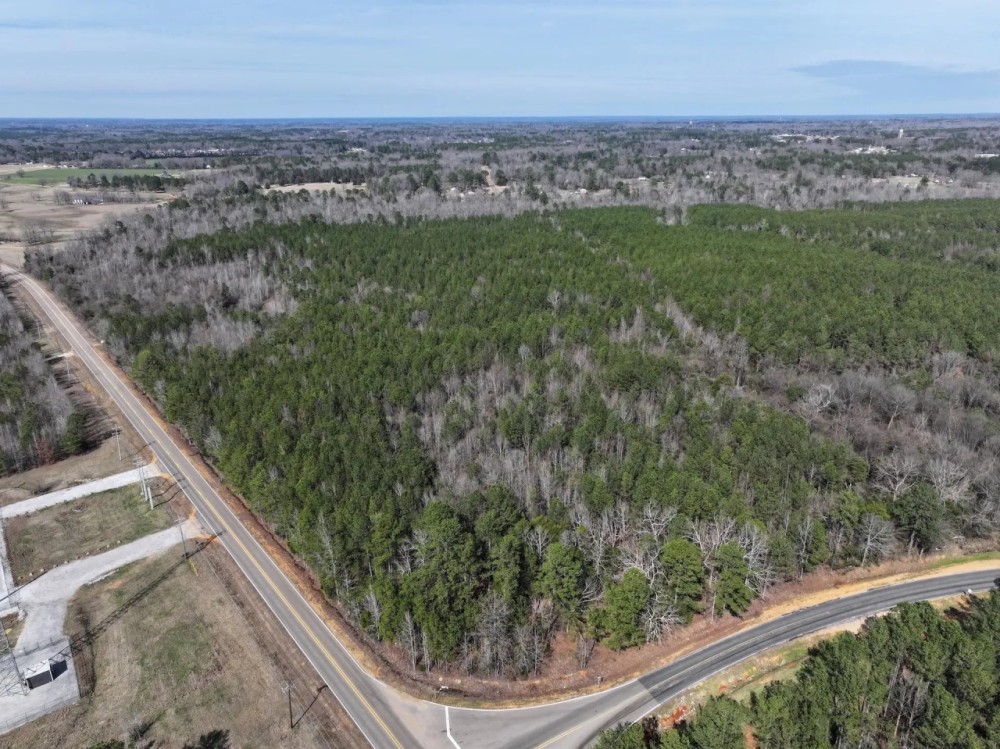 75 Acres in Lowndes County MS featured image