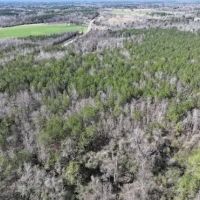 75 Acres in Lowndes County MS images 3