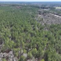 75 Acres in Lowndes County MS images 5