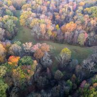 Endless Acres South images 3