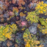 Endless Acres South images 4