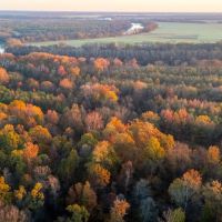 Endless Acres South images 5