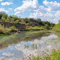 Llano River Pecan Orchard images 5