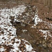 Land For Sale in Owen County IN 72 acres - 30 Acres - Tillable images 4